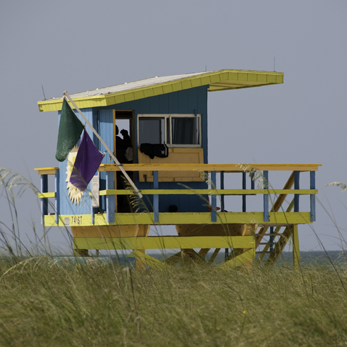 june 2010